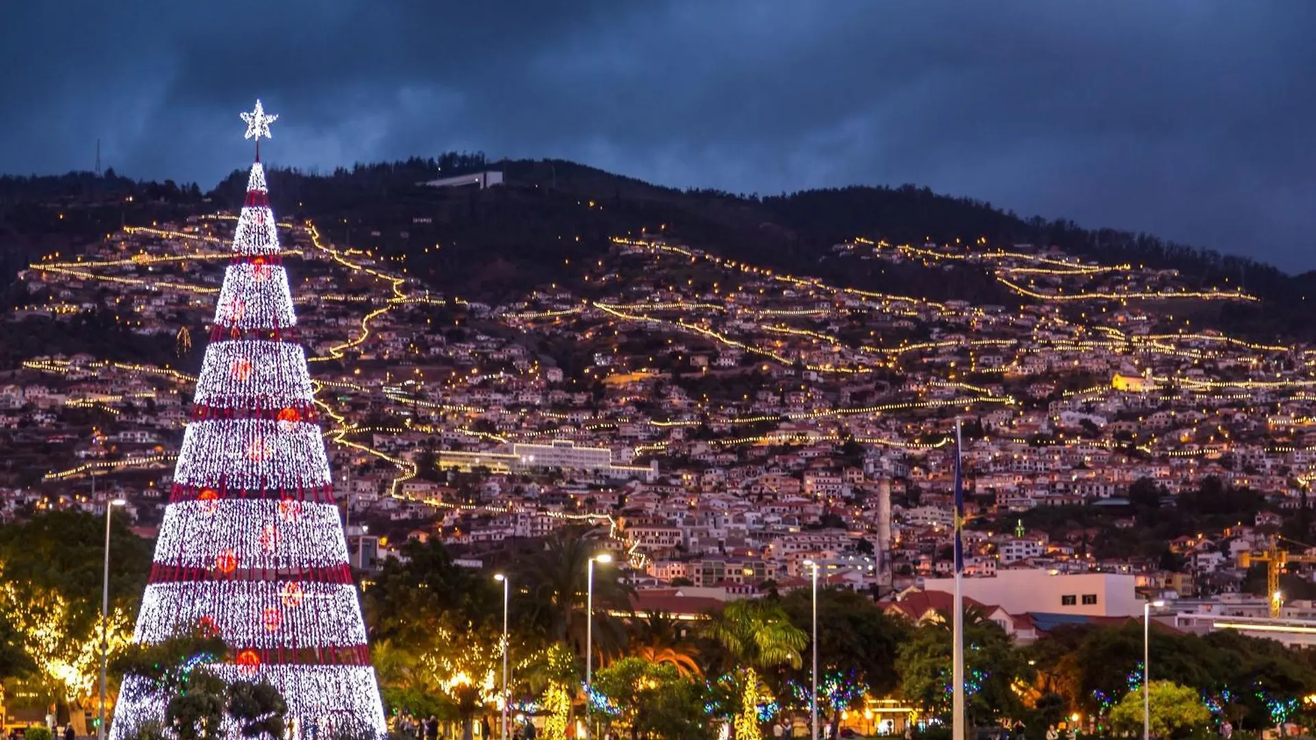 Casa Magnolia Villa Funchal